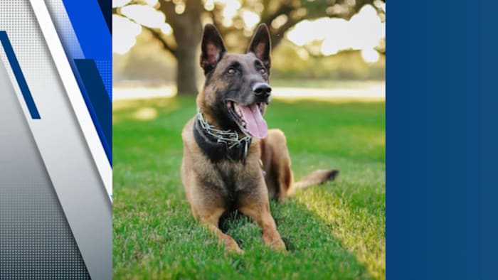 <a href="https://www.ksat.com/news/local/2025/04/10/boerne-police-department-mourns-loss-of-k-9-killed-in-line-of-duty/" target="_blank">Boerne Police Department mourns loss of K-9 killed in line of duty</a>