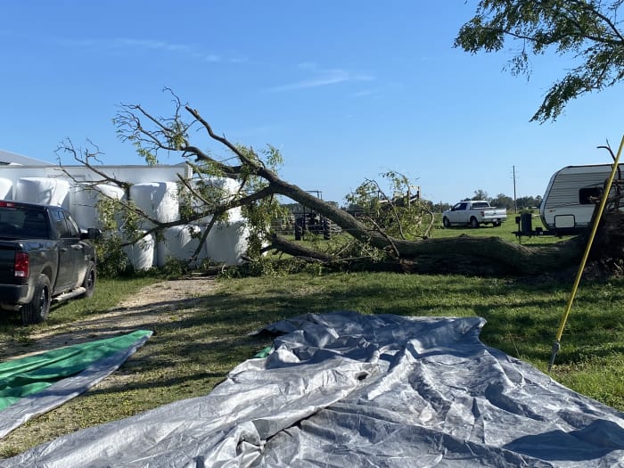 North Florida farms struggling to recover month after Hurricane Idalia - Vimarsana News