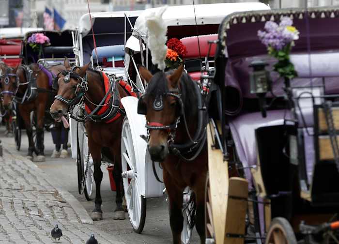 Teenager dies after being thrown from horse-drawn carriage in NYC's Central Park