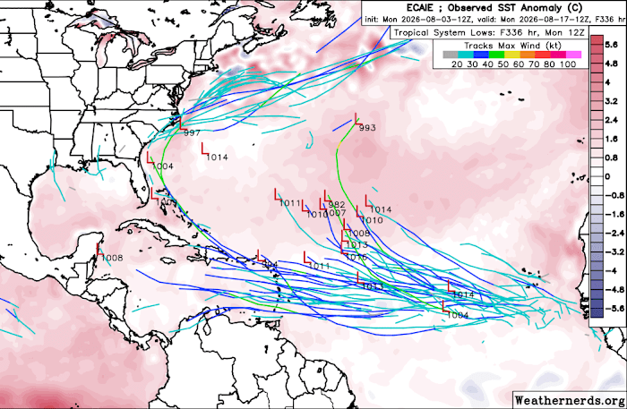 Activity To Watch In August?