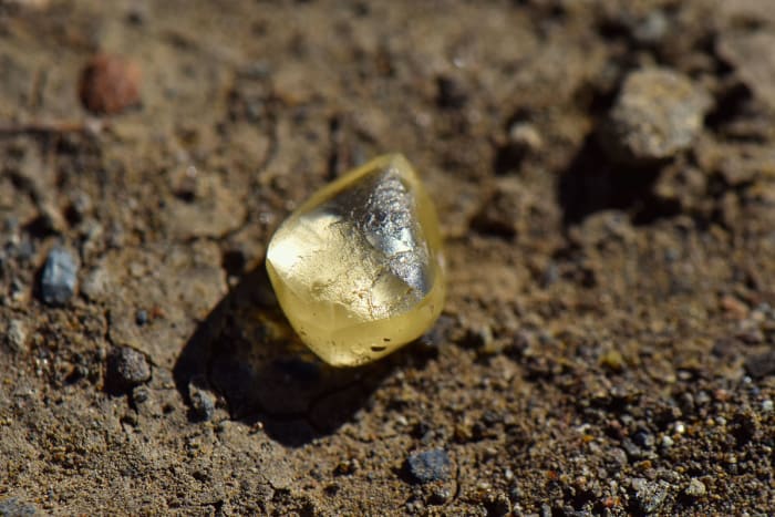 Woman finds 4.38 carat yellow diamond at the only public diamond