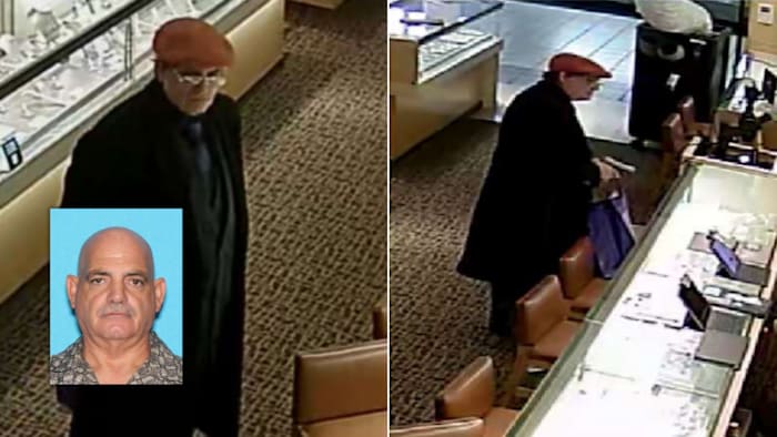 Westland man arrested after allegedly trying to pawn necklace he stole from jewelry store the same day