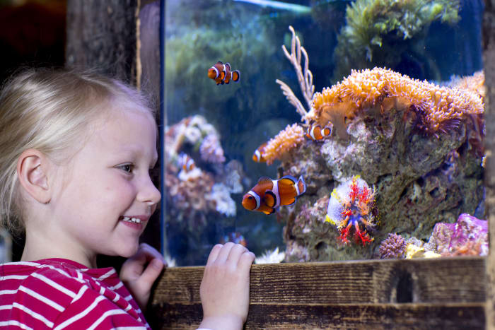 Indoor, kid-friendly places around San Antonio where you can get out of the summer heat - Vimarsana News