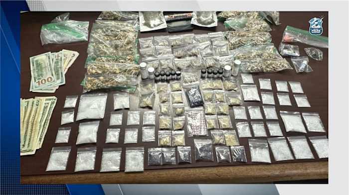 Detroit police make drug busts at Movement Festival, seize large quantities of narcotics