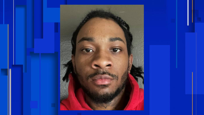 Footprints in snow lead Detroit cops to fleeing driver, doghouse where he hid gun, drugs - Vimarsana News
