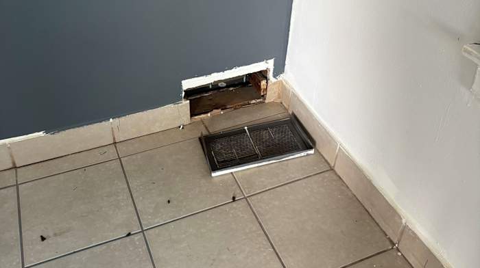‘Emergency move’: Dearborn Heights family says rental home was rat-infested, complaints date back a decade