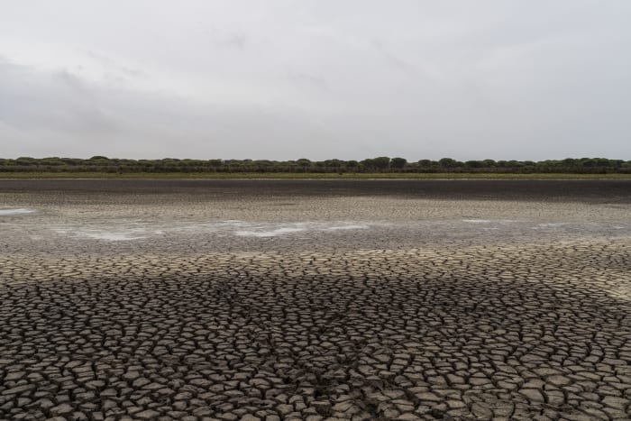 Andalusia considers more irrigation near Spanish wetlands