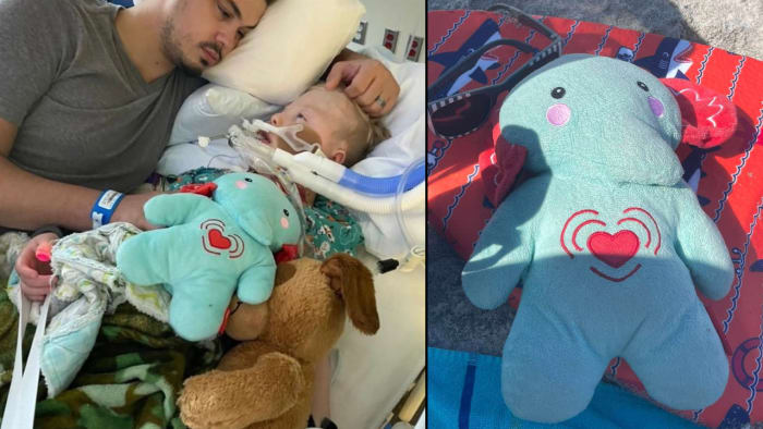 I need him back Iowa family pleads for help after sons ashes go missing on Florida vacation I need him back Iowa family pleads for help after sons ashes go missing on Florida vacation