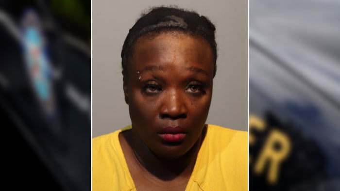 Sanford driver accused of hitting trooper on I-4 while fleeing traffic stop