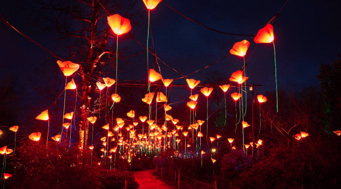 Lightscape to return to San Antonio for 2023 holiday season