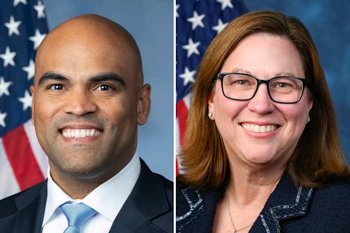 Texas’ 33rd Congressional District Democratic runoff: Who is running and what to know