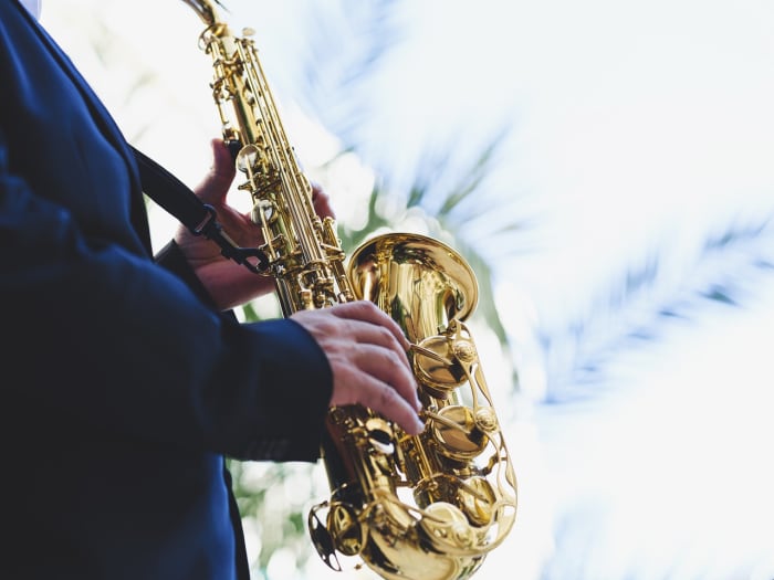 Free Maitland Jazz & Blues Festival brings 'diverse lineup.' Here's what to expect - Vimarsana News