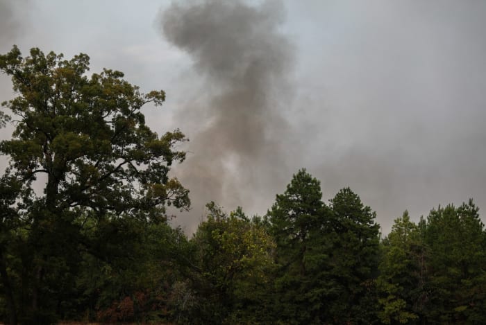 Texas enlists out-of-state volunteers to combat wildfires - Vimarsana News