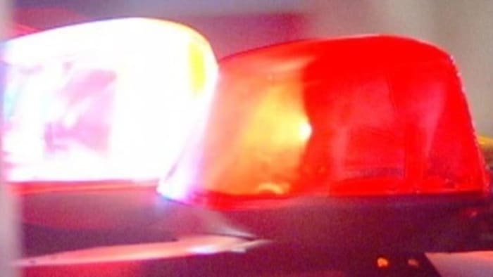 Assault News Image