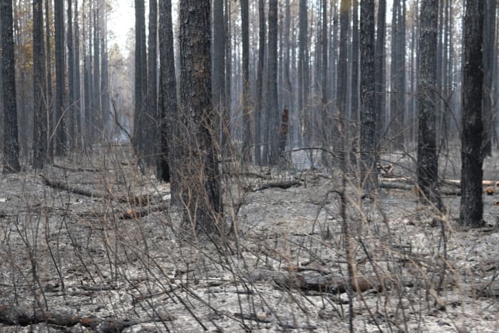 Nassau County wildfire now 95 contained 1000 acres burned