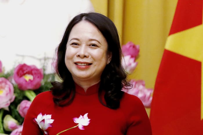 Vietnam's vice president becomes interim president