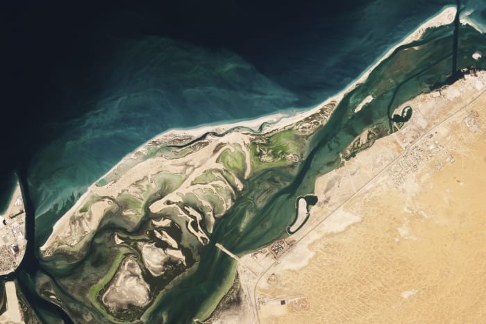 Their world was the oyster: Oldest pearl town found in UAE