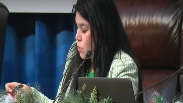 Former Miami-Dade School Board Vice Chair Lubby Navarro arrested; accused of stealing money from schools