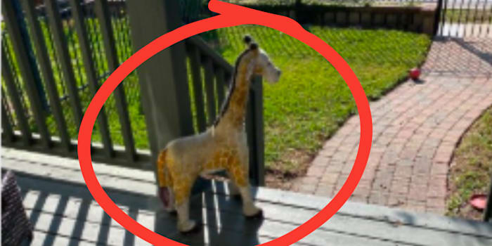 Spring Branch residents puzzled by recurring porch giraffe appearances.
