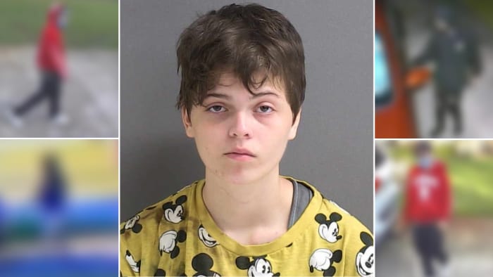 Woman arrested after series of Deltona car burglaries