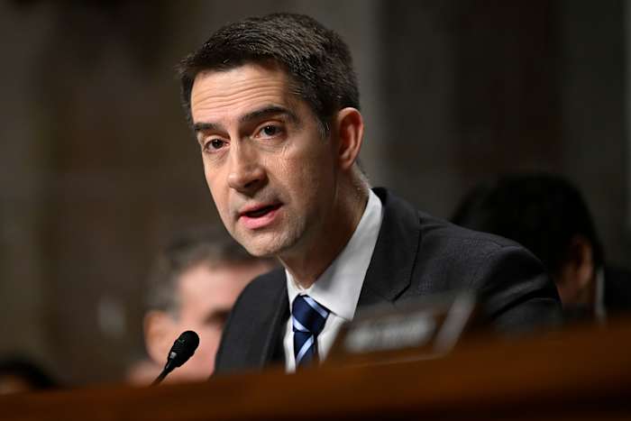 Senate to hold hearing for Trump pick to head intelligence agencies after weekslong delay