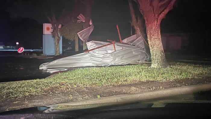 OKC Survivor Tree doing well after damaged in wintry weather