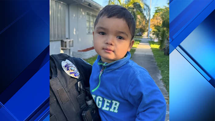 Authorities Seek Guardians of Wandering Toddlers in Hollywood, Palm Coast, South Carolina
