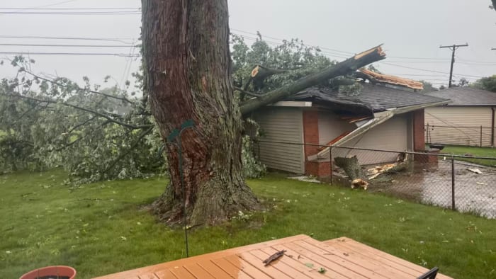 Photos: Severe storms knock down trees, cause damage across SE Michigan