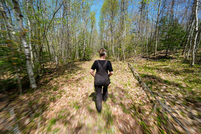 Still finding trouble in the woods: ‘Blair Witch Project’ star at center of Maine road dispute