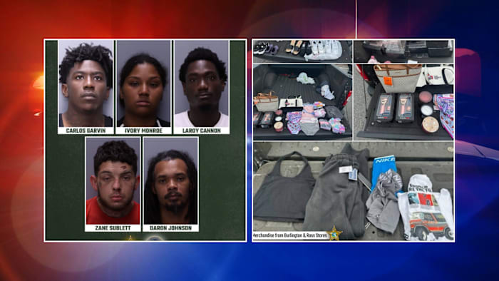 HCSO Arrests 14 in $5 Million Organized Retail Theft Operation - News Directory 3