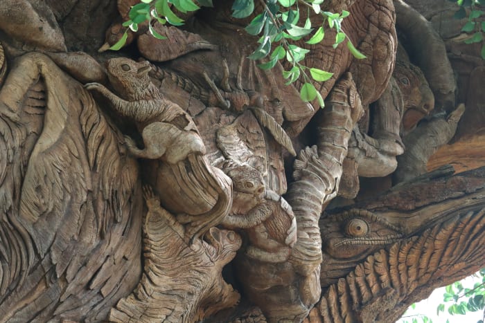 Hide-and-seek: Animals you may not have spotted at Disney's Animal Kingdom - Vimarsana News