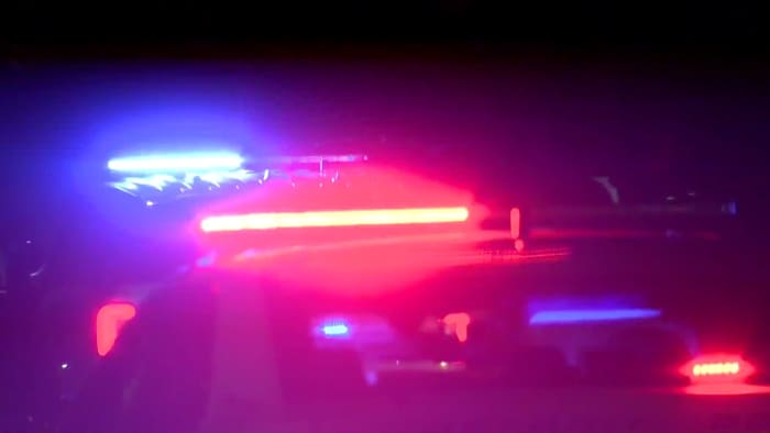 Suspect struck, killed by car after Florida officer deploys stun gun