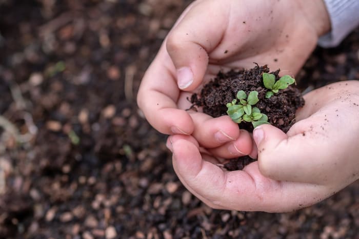 How to celebrate Earth Day in Central Florida