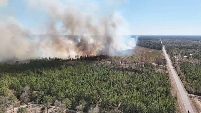 Brush fire shuts down parts of CR 108 in Nassau County