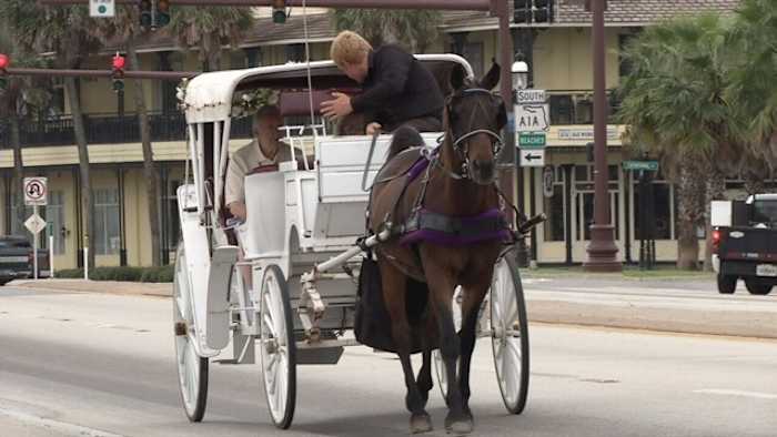 St. Augustine makes changes to rules for vehicles for hire, franchises, carriage horses