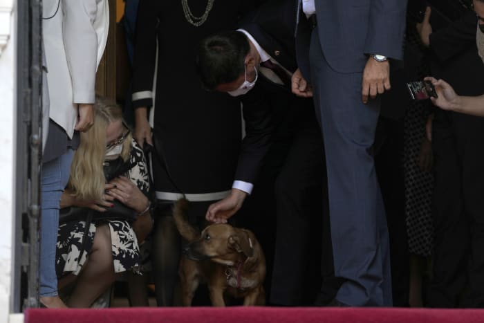 Domáce zviera gréckeho lídra prerušuje tlačovú konferenciu