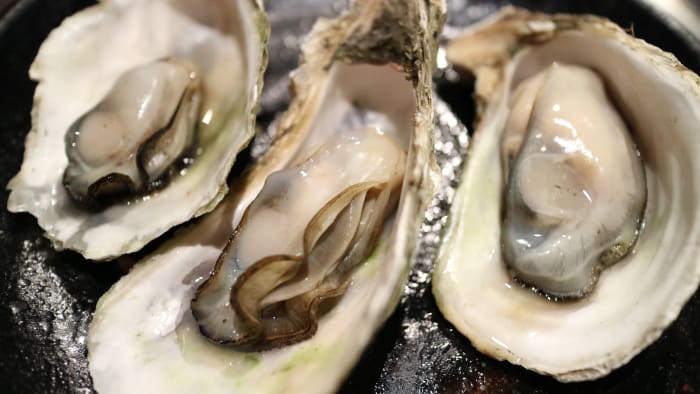 Florida oysters recalled over salmonella outbreak