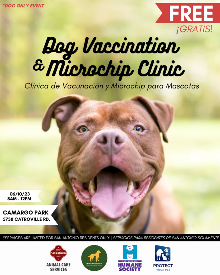 Dog hot sale shot clinics