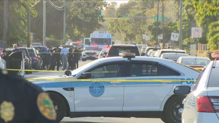 Miami, Tallahassee, Windsor report significant crime declines in 2025