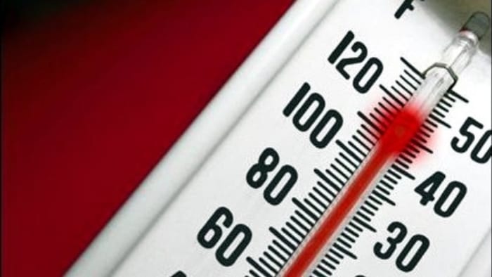 5 children have died so far in Florida from being left in hot cars. Here’s why 5 children have died so far in Florida from being left in hot cars. Here’s why