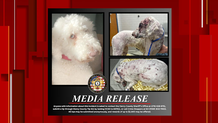 Henry County Sheriff’s Office seeking public’s assistance in animal cruelty investigation