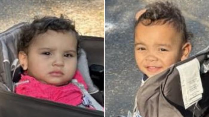 2 children missing out of Levy County, possibly with 48-year-old man, FDLE says - Vimarsana News