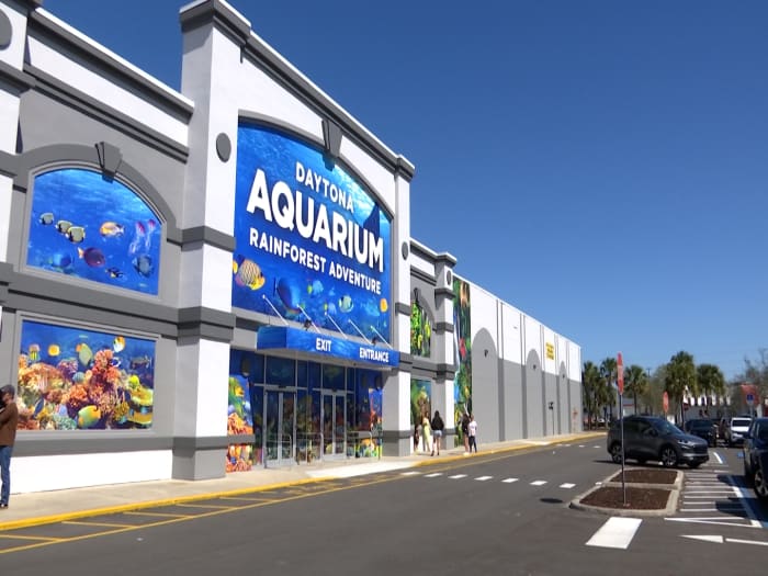 'This is amazing:' Daytona Aquarium opens doors to tourists, residents - Vimarsana News