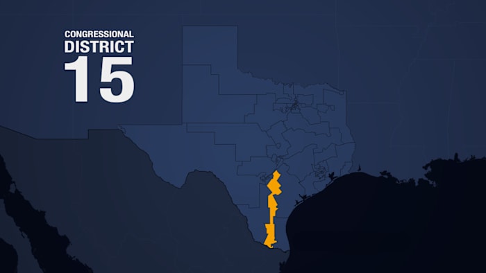 Election results: Texas’ 15th Congressional District race in March 2026 primary