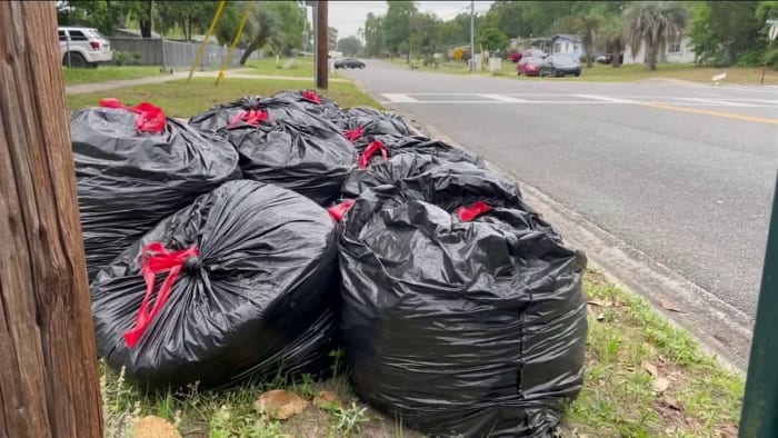 Yard Waste Collection Welcome to the City of Gainesville