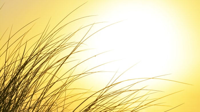 🌡️Most extreme temperatures in the history of every state - Vimarsana News