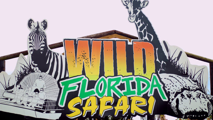 Wild Florida starts nonprofit to support community, conservation efforts - Vimarsana News