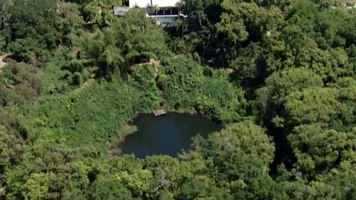 The deepest sinkhole in Florida has a deadly secret. Here's why you should stay away - Vimarsana News