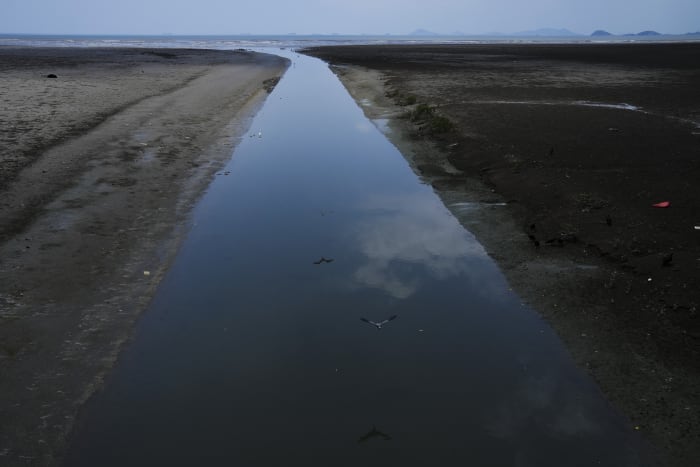 Some nations want to remove more pollution than they produce. That will take giving nature a boost
