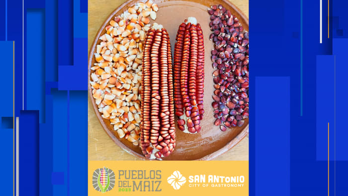 San Antonio celebrates corn with 'Pueblos del Maiz' celebration in May - Vimarsana News